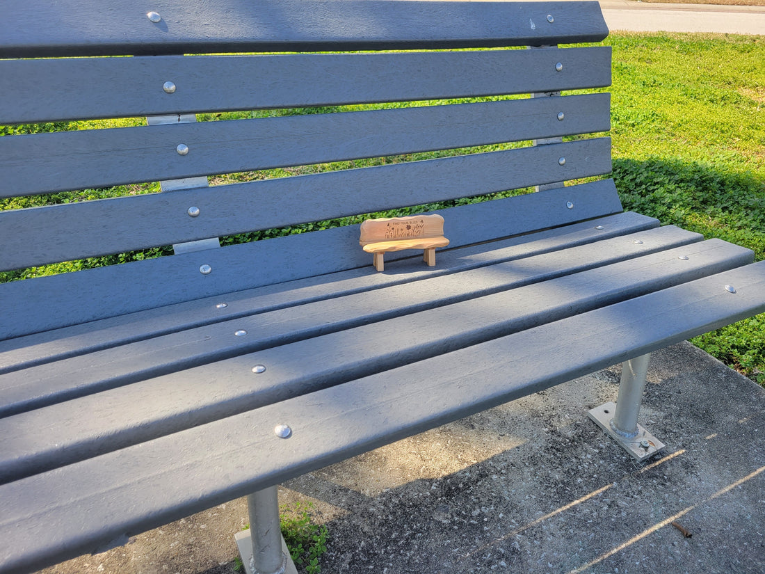 Little Bench in the Wild - FYB uno
